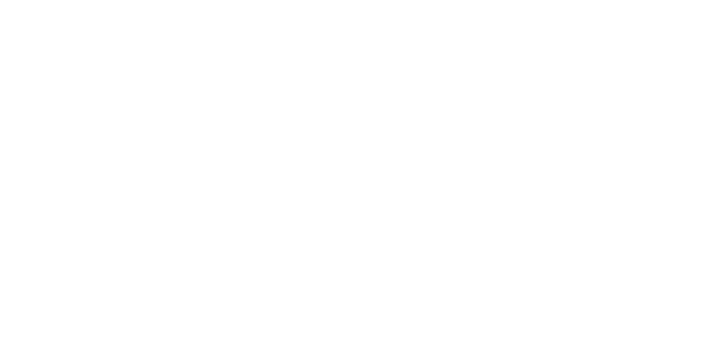 野牛(Buffalo)の日本刀基礎講座